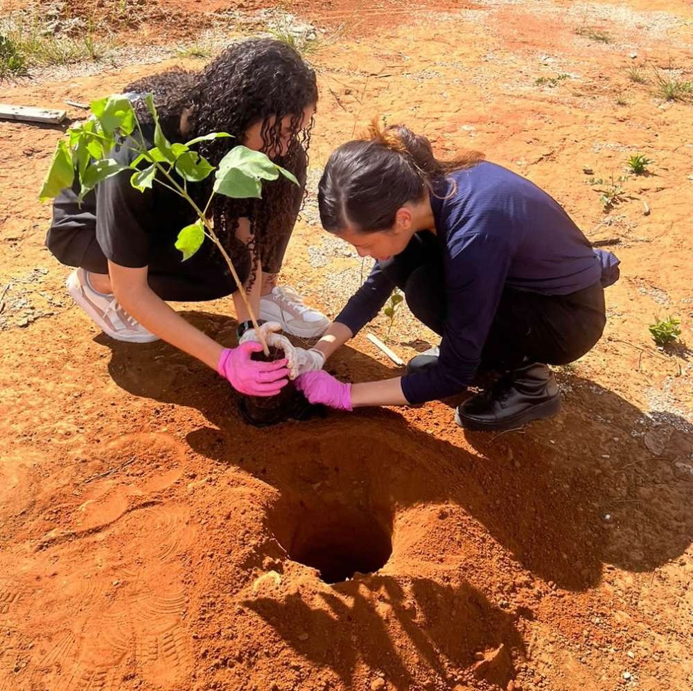 Estudantes realizam plantio de mudas de árvores no Parque Ecológico de Santa Maria